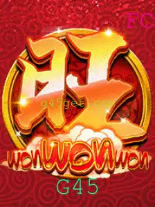 Descubra o Mundo de WonWonWon: Um Jogo Empolgante Inspirado em G45